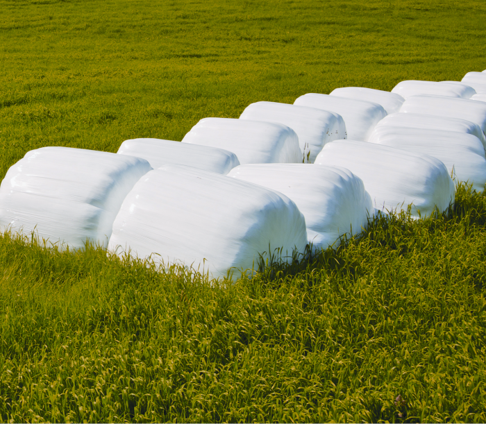 DLACZEGO FOLIE7WARSTWOWE